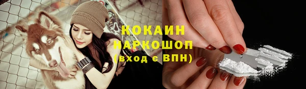 крисы Богородск
