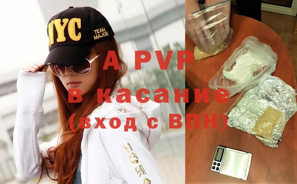 спиды Богданович