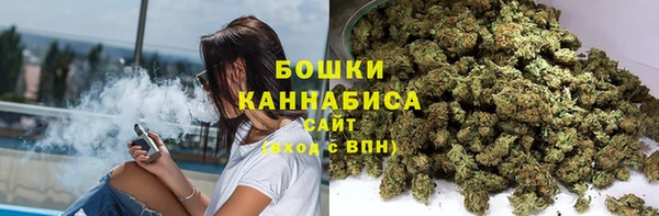 крисы Богородск