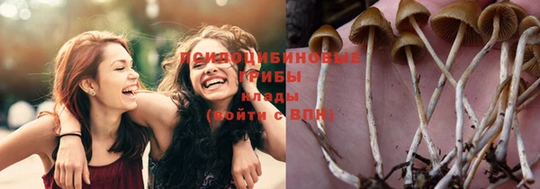 дмт Бронницы